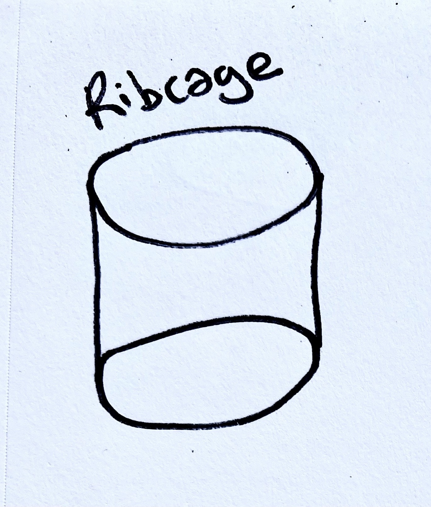 Drawing of cylinder labelled ribcage