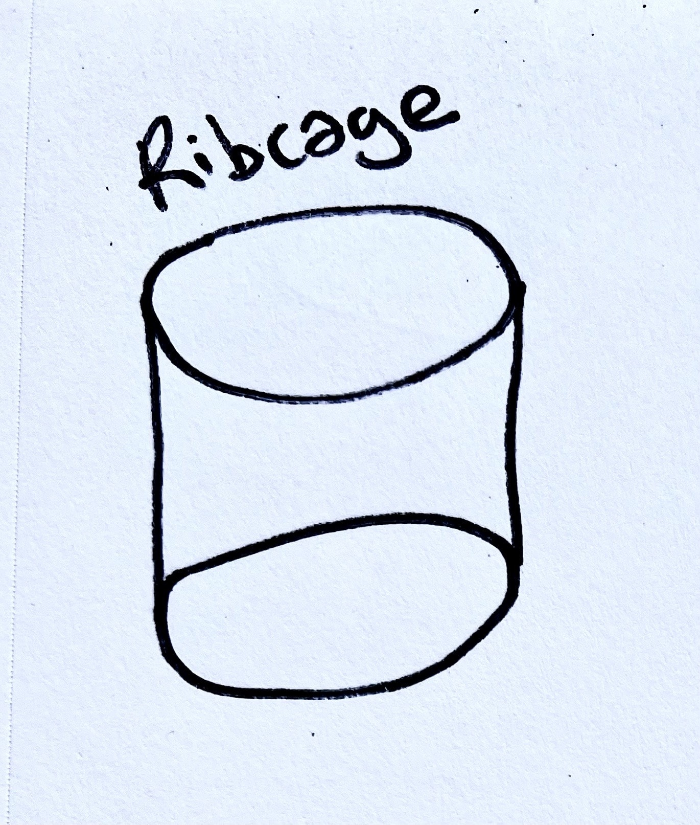 IMG_6263 Drawing of cylinder labelled ribcage