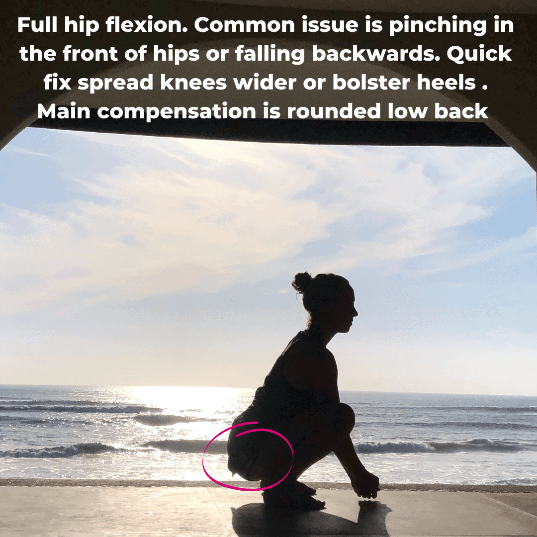 hip flexion squats